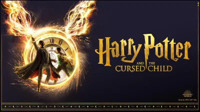 Tome 8 (Harry Potter et l'Enfant maudit) - Qui est la premi&egrave;re personne &agrave; comprendre le probl&egrave;me des voyages dans le temps ?