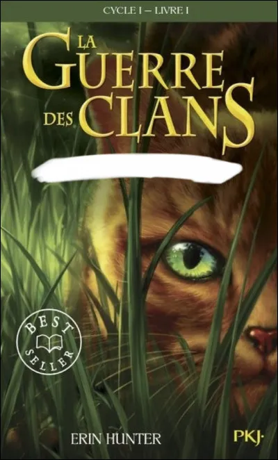 Quel est le titre de ce tome ?