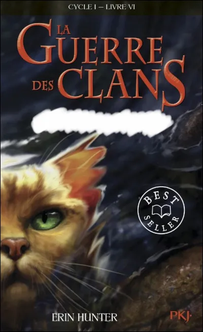 Quel est le titre de ce tome ?