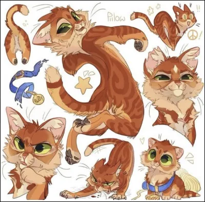 Quel est le nom du protagoniste du cycle 1 ?