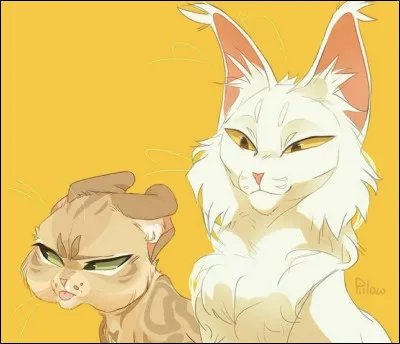 Quel est le nom du cycle 1 ?