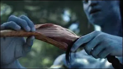 Quel rituel Na�vi consiste &agrave; connecter sa tresse neurale ("file d'attente") &agrave; celle d�un animal ou d�un autre Na�vi, pour partager des souvenirs et des &eacute;motions ?