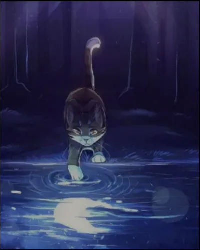 Quelle est ton humeur quotidienne ?