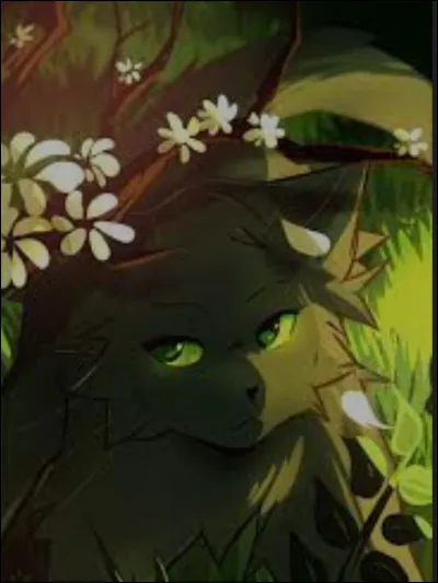 Quelle est une de tes qualit&eacute;s ?