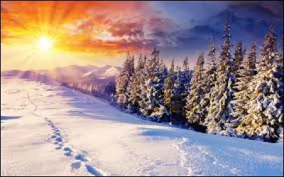 &Agrave; quel chanteur doit-on ces paroles : "Qu'il neige sur ma vie, g&egrave;le en mon coeur/ Tombent les pluies rien ne me fait peur/ Loin d'ici, loin des douleurs/ Je sais o&ugrave; ressusciter, je sais o&ugrave; aller" ?