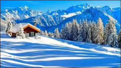 Qui a chant&eacute; le tube "Tombe la neige" dans les ann&eacute;es 60 ?