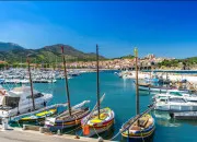 Test En quel animal vas-tu te r�incarner ?