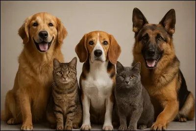 Est-ce que tu as des animaux chez toi ?