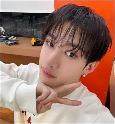 C'est ton premier date avec Stray Kids. Vous allez...