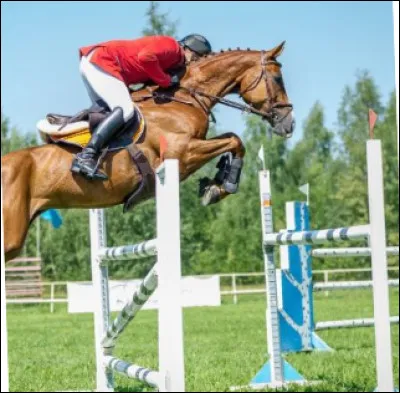 Dans quoi sont positionn&eacute;s vos pieds lorsque vous montez un cheval correctement &eacute;quip&eacute; ?