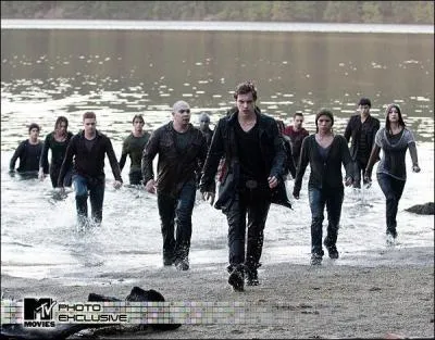 Dans le troisime chapitre, qui Victoria choisit-elle pour diriger son arme ?