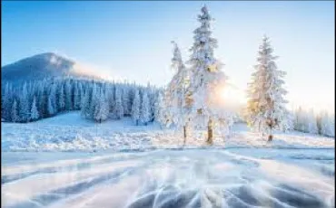 Quiz Culture g�n�rale