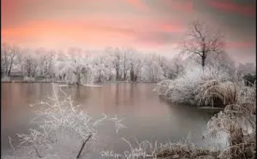 Quiz Culture g�n�rale