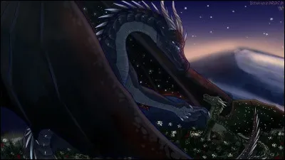 Quelles sont les capacit&eacute;s des Ailes de Nuit ( M&ecirc;me les classiques ) ?