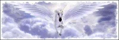 Qui a un animal marin ?