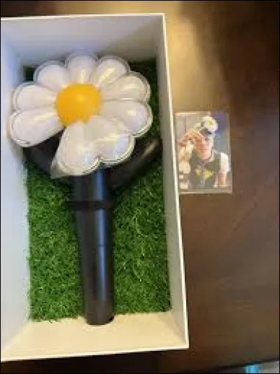 &Agrave; qui est ce lightstick ?