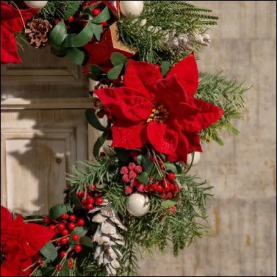 Quelle fleur est surnomm&eacute;e l�&eacute;toile de No&euml;l ?