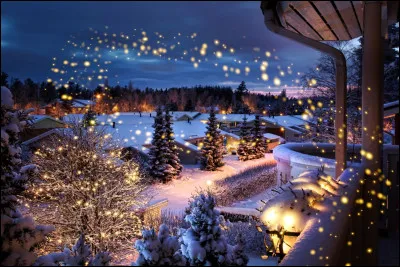 En France, le plus ancien date de 1570. &Agrave; votre avis de quoi parle-t-on ?