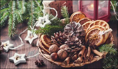 Quel arbre d&eacute;core-t-on traditionnellement pour No&euml;l ?