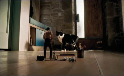 L'un de ces films nous montre Jean Dujardin affronter une araign&eacute;e. Quel est ce film ?