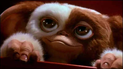 Un film de No&euml;l &agrave; conseiller ? Pour moi ce sera les "Gremlins" ! Comment se nomme le plus c&eacute;l&egrave;bre d'entre eux ?