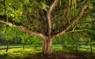 Quiz Test de personnalit�