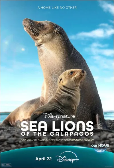 Les orques mangent-elles les lions de mer ?