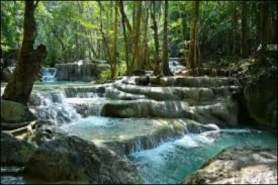 Pour quelle profession faut-il pr&ecirc;ter le serment d'Hippocrate ?