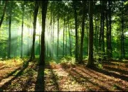 Quiz Quiz inratable... Mais que tout le monde rate !