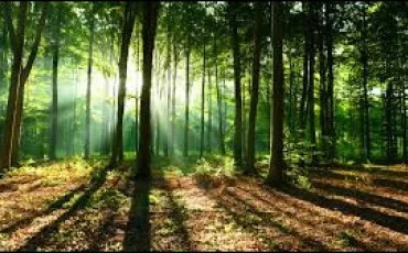 Quiz Culture g�n�rale