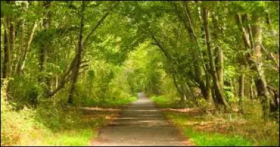 Si vous &eacute;crivez tous les nombres de 1 &agrave; 100, combien de fois allez-vous &eacute;crire le chiffre 9 ?