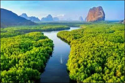 Que met-on dans un toaster ?