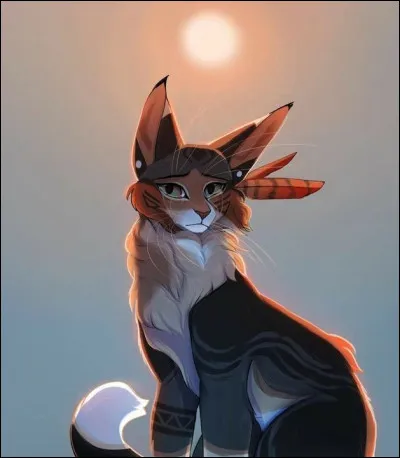 Je suis une gu&eacute;risseuse qui a sacrifier sa vie pour sauver une autre. J'ai enfreint tant de fois le code mais je regrette rien. Qui suis-je ?