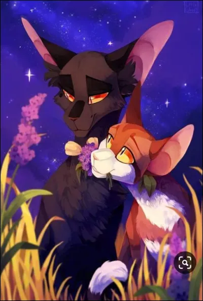 Je suis un lieutenant du Vent, j'ai aim&eacute; une gu&eacute;risseuse avec qui j'ai enfreint le code du guerrier. Je ferait parti des &eacute;lus d'y Cycle 2 et je suis tomb&eacute; amoureux d'une de ses &eacute;lues. Qui suis-je ?