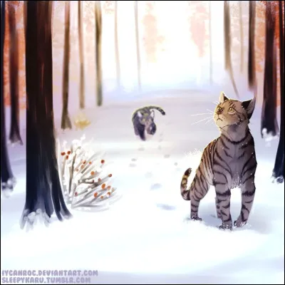 Je suis une lieutenante du Tonnerre, j'ai risqu&eacute; ma vie pour les Clans. Je suis arriv&eacute;e dans la For&ecirc;t Sombre &agrave; cause de ma jalousie mais j'ai jou&eacute; un grand r&ocirc;le et une de mes filles est morte. Qui suis-je ?