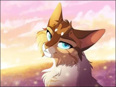 Qui es mon personnage pr&eacute;f&eacute;r&eacute; ?