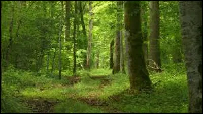 De quel pays le koala est-il end&eacute;mique ?