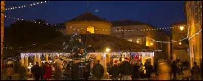 Je vous propose de partir au march&eacute; de No&euml;l d'Auvillar. Commune de l'ancienne r&eacute;gion Midi-Pyr&eacute;n&eacute;es, sur les bords de la Garonne et travers&eacute;e par l'Arrats et l'Ayroux, elle se situe dans le d&eacute;partement ...