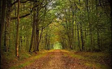 Quiz Culture g�n�rale