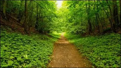 Quelle marque a lanc&eacute; la commercialisation de l'iPhone ?