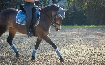 Quiz Test de personnalit�