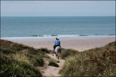 Qu'aimes-tu faire avec ton cheval ?
