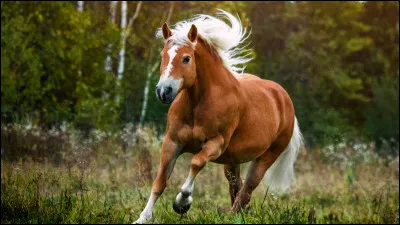 Quelle image t'inspire le plus ?