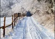 Quiz Quiz inratable... Mais que tout le monde rate ! (2)