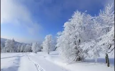 Quiz Culture g�n�rale