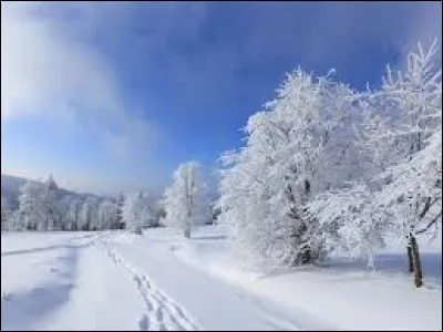 Que signifie "WWW" dans une adresse internet ?