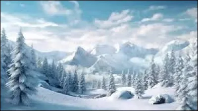 Quelle est la dur&eacute;e de la mi-temps d'un match de football ?