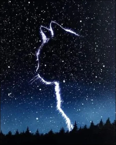 Est-il concern&eacute; par la proph&eacute;tie : "Ils seront trois, parents de tes parents, &agrave; d&eacute;tenir le pouvoir des &Eacute;toiles entre leurs pattes." ?