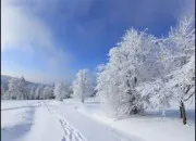 Quiz Culture G pour briller en soir�e ! (4)