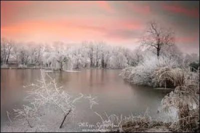 Quel h&eacute;ros a pour nom Bruce Wayne ?